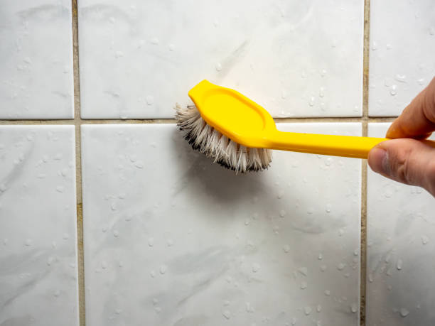 Best Emergency Mold Removal  in Nice, CA