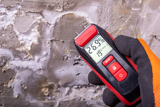 Best Mold Removal Near Me  in Nice, CA