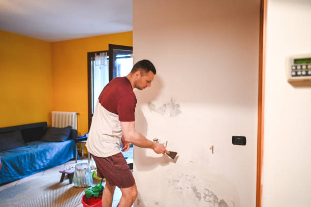 Best Fast Mold Removal  in Nice, CA