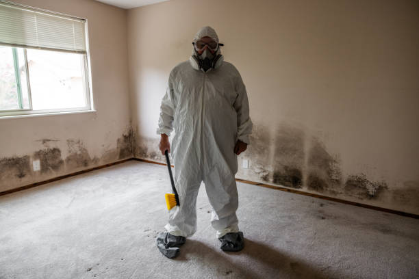 Best Mold Cleaning Services  in Nice, CA